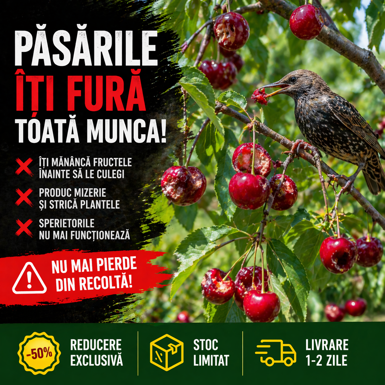 Protect™ Banda Anti Pasari irizata 35 Metri